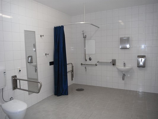 Disability Bathroom Modifications - Disability Bathroom Modifications 1