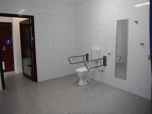 Disability Bathroom Modifications - Disability Bathroom Modifications 2